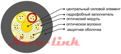ОКГ нл